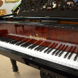 2014 FANCY William Knabe grand piano - Grand Pianos